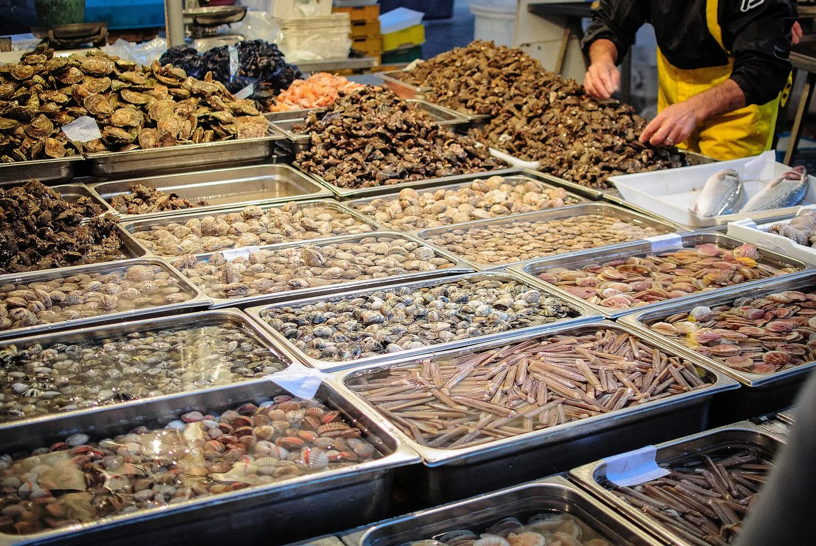 Banco di un mercato del pesce a Bari con vassoi di frutti di mare freschi: ostriche, cannolicchi, vongole e altri molluschi